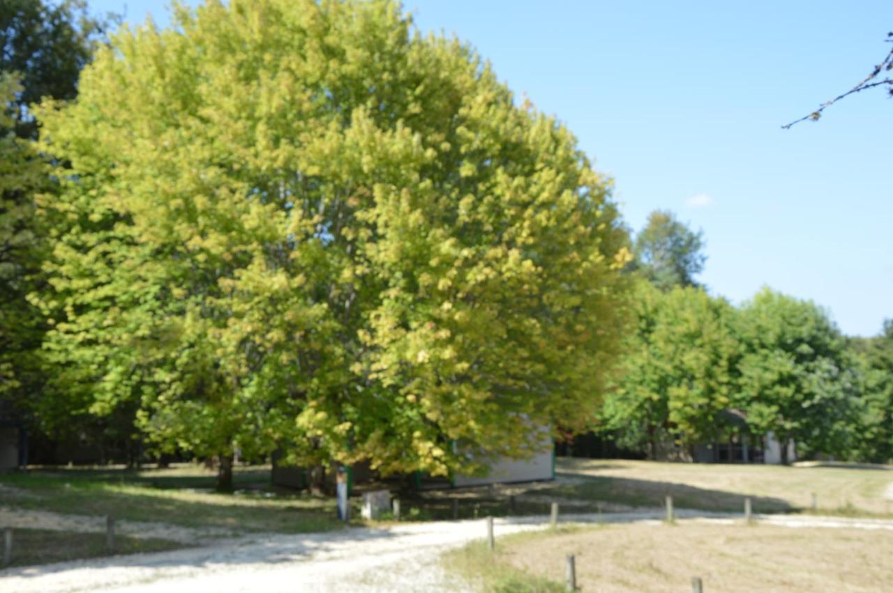 La Foret Enchantee Cornille  외부 사진